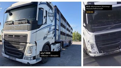 На Житомирщині оштрафують перевізника та відправника за перевантажену фуру