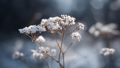 Якою буде погода у Львові та області завтра, 1 березня