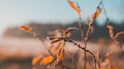 Якою буде погода у Львові та області завтра, 15 грудня