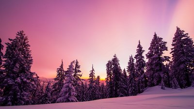 Якою буде погода у Львові та області завтра, 8 лютого