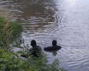 Пішов купатися: на Львівщині водолази другу добу шукають зниклого чоловіка (ФОТО)