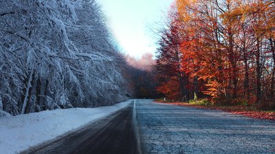 Якою буде погода у Львові та області завтра, 21 листопада