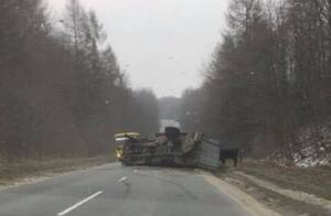 У ДТП на Львівщині перекинулась вантажівка з коровами (ФОТО)