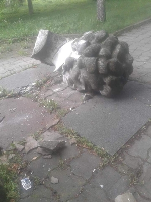 Падіння російського поета на Львівщині (фото-відео)