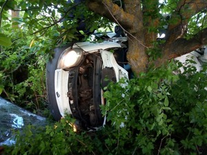 Внаслідок зіткнення автомобіля з деревом загинуло п'ятеро людей (фото)