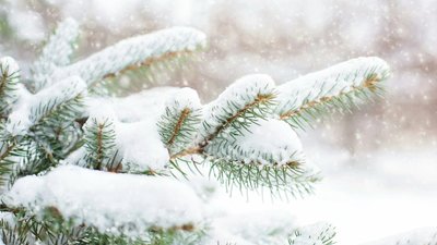 Синоптикиня уточнила, коли в Україні очікується послаблення морозів