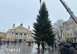 У Львові встановили головну ялинку (ВІДЕО, ФОТО)