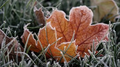 Якою буде погода у Львові та області завтра, 26 вересня