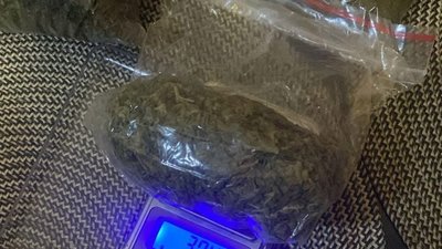 На Львівщині правоохоронці знищили плантацію конопель та вилучили наркотиків на 3,5 мільйона гривень