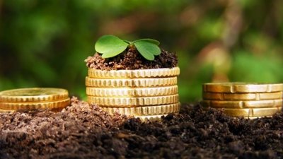 У Львівській області 300 гектарів комунальної землі незаконно передали в оренду