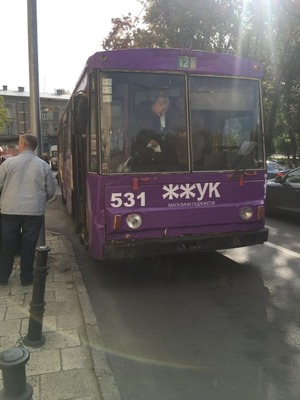 У Львові жінка, яка їхала з однорічною онукою, травмувалась при виході з тролейбуса (ФОТО)