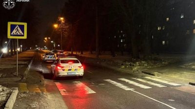 У Львові засудили водія BMW, який збив жінку і залишив її помирати на дорозі (ФОТО)