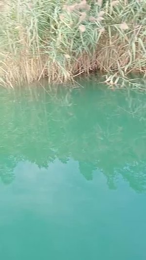 ВІДЕО: Центральна рятувально-водолазна служба Львівської області

На Львівщині водолази знову шукали чоловіка, який зник ще у серпні